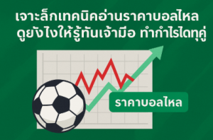 ราคาบอลไหล